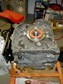 rP1010601.jpg
