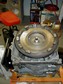 rP1010603.jpg